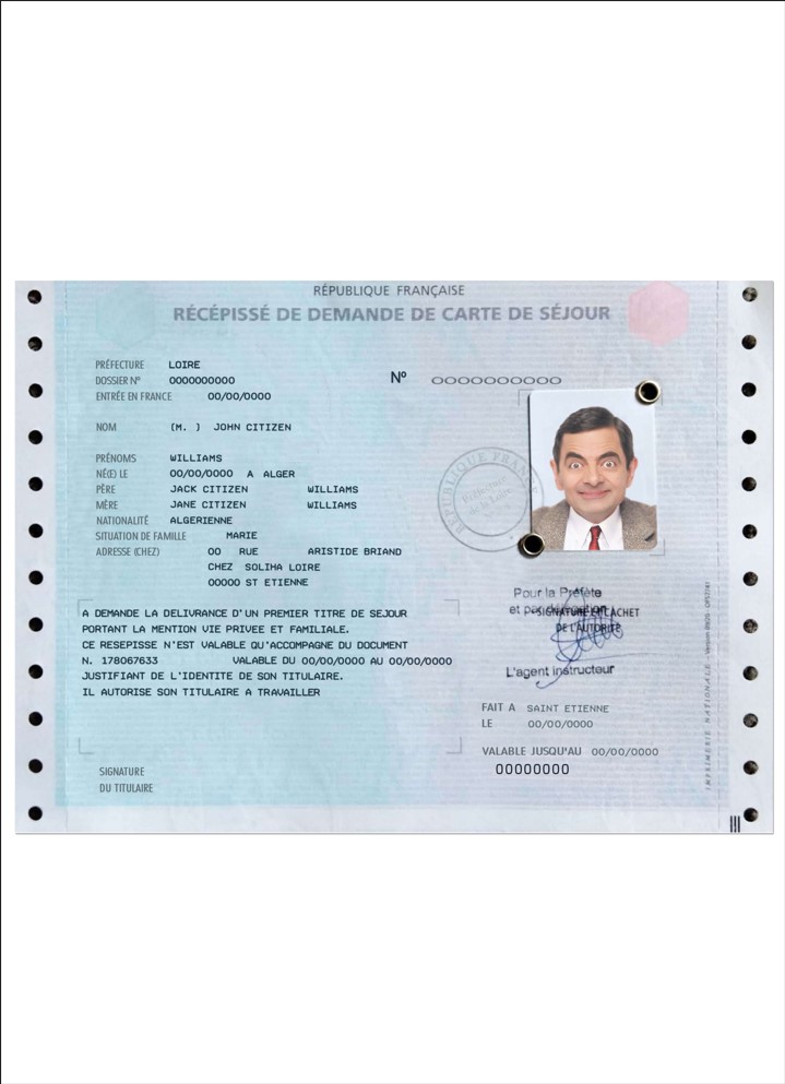 Titre de séjour français (carte de séjour)